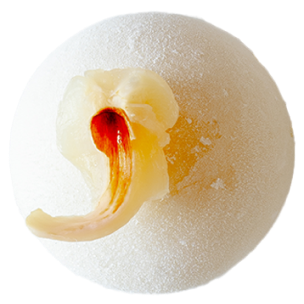 Mochi enrobé de kinako (farine de soja torréfié) avec une garniture de haricot rouge, sur un fond de bois clair.